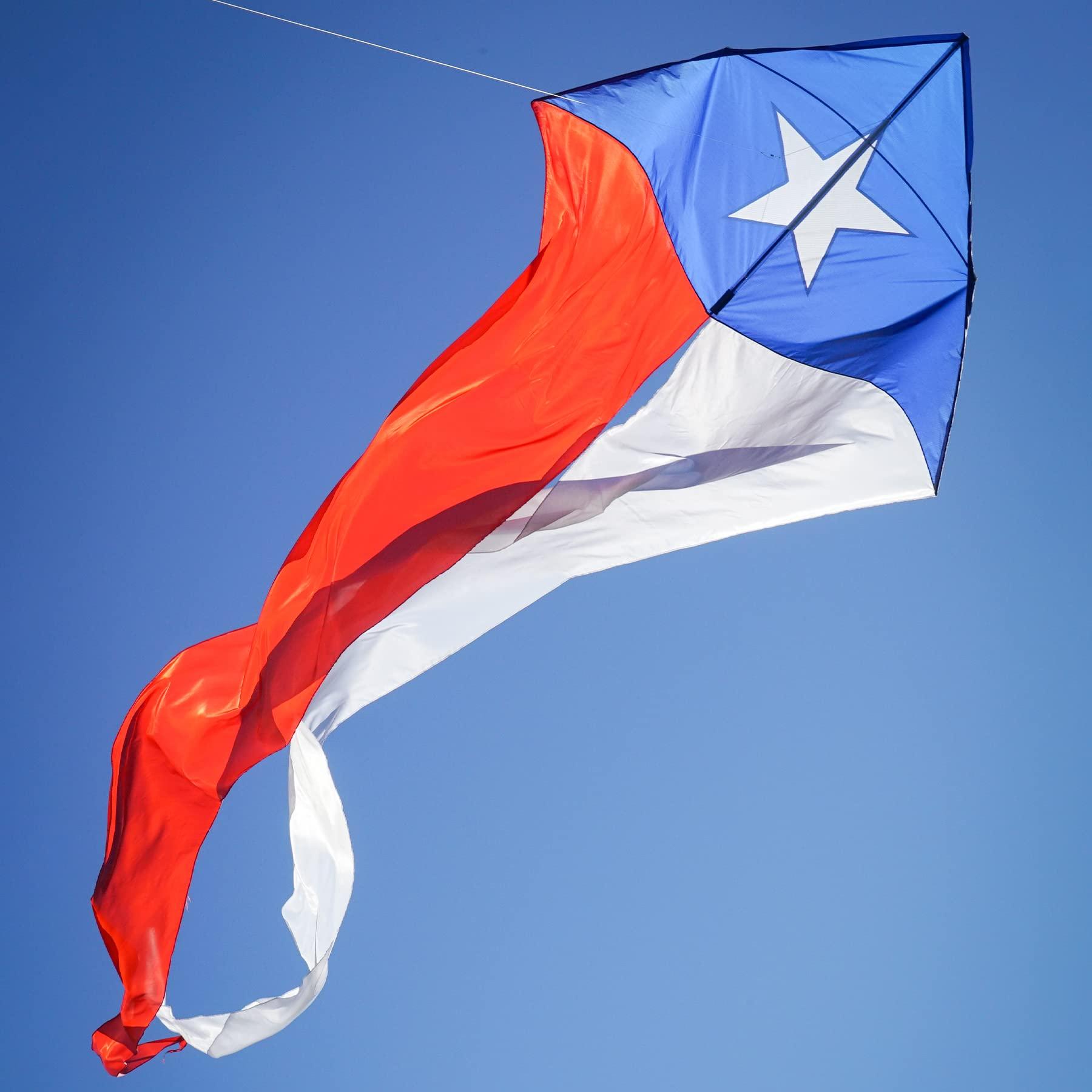 In the Breeze In the Breeze 3357 Texas 77\" Wave Delta Kite Easy Flying Single Line Large Ripstop and Taffeta Kite