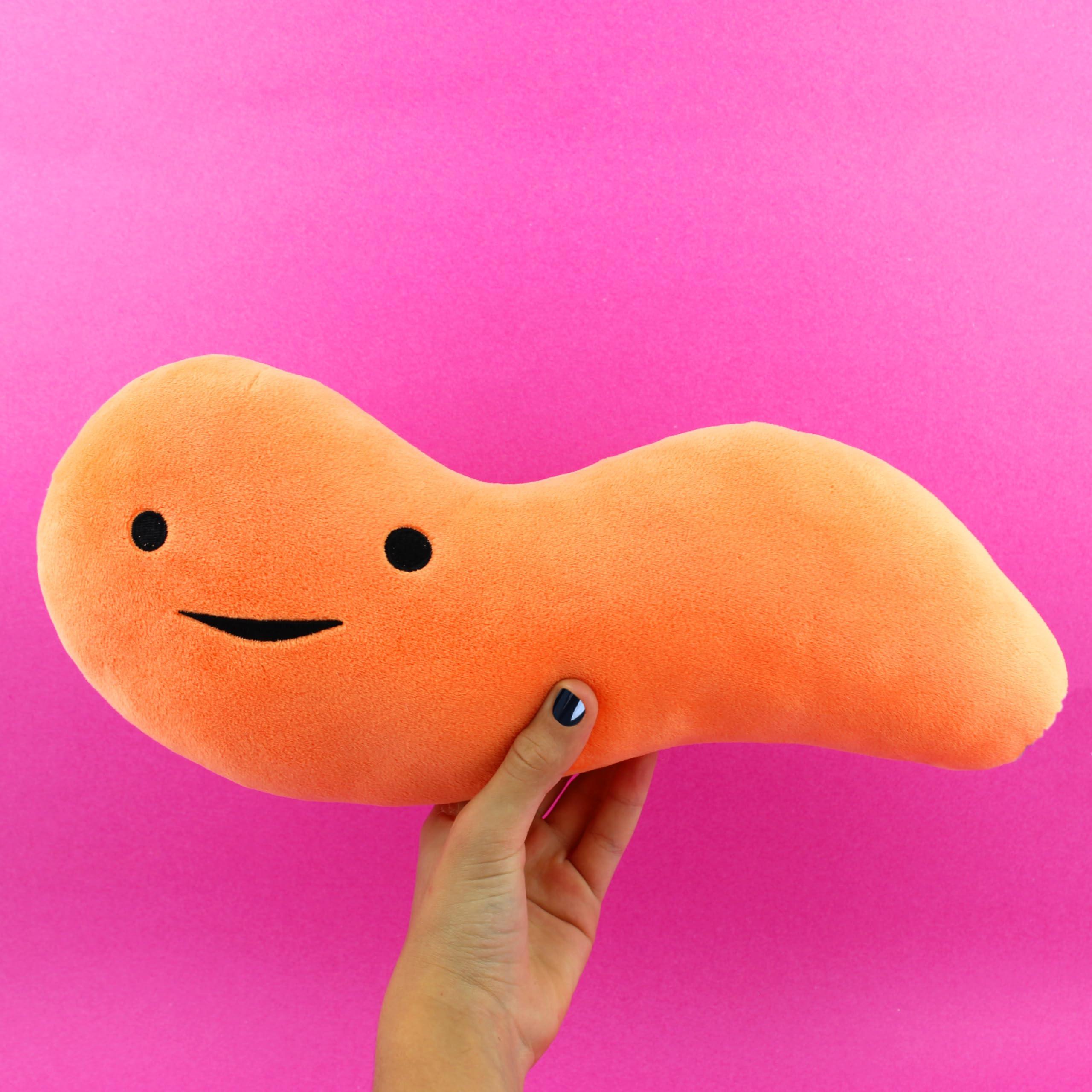 I Heart Guts I Heart Guts Appendix Plush - Feel It In Your Gut - 14\" Stuffed Organ Plush Toy, Appendix Removal Get Well Gifts, Ideal for Appendicitis, Kids, Nurses, Medical Students,Surgery