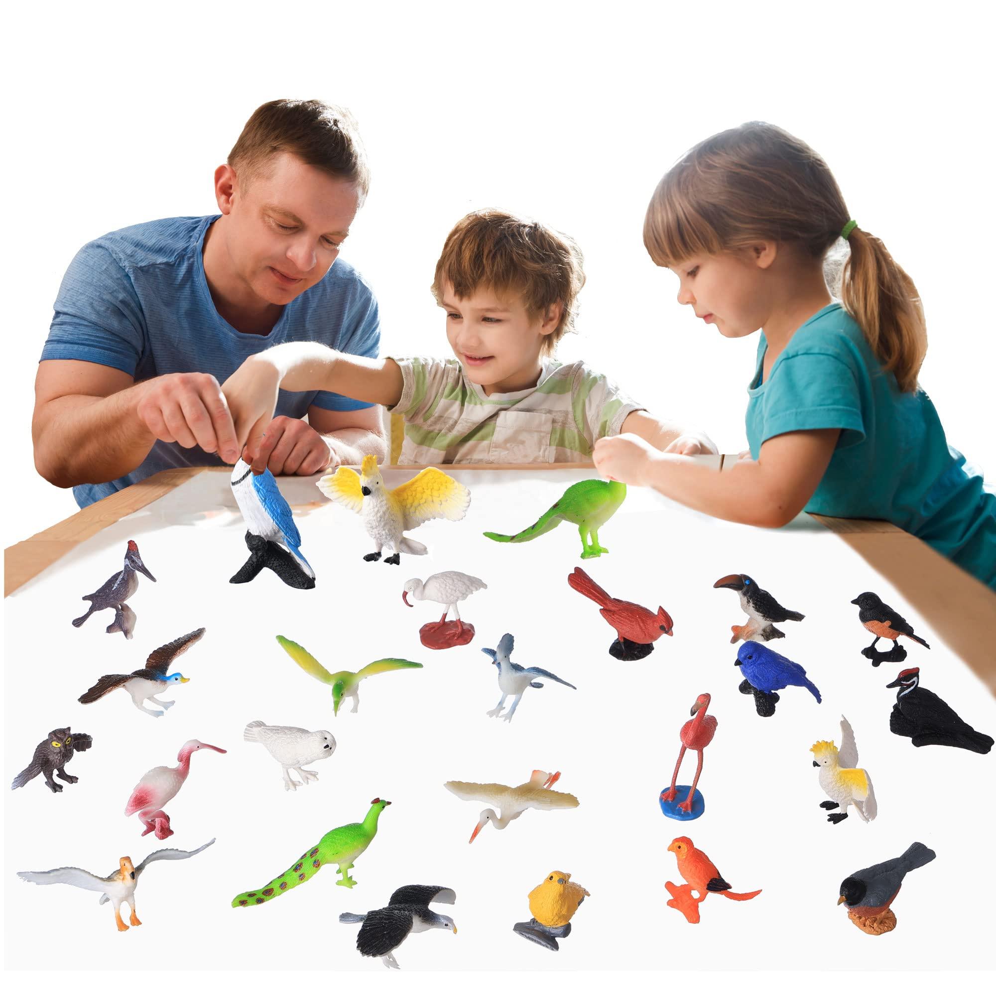 HOMNIVE HOMNIVE Birds Figurines, 23pcs Realistic Eagle Parrot Robin Owl Toy Bird, Fairy Garden Accessories, Learning Educational Toys for Dollhouse Birthday Cake Topper Gift for Kids Toddler