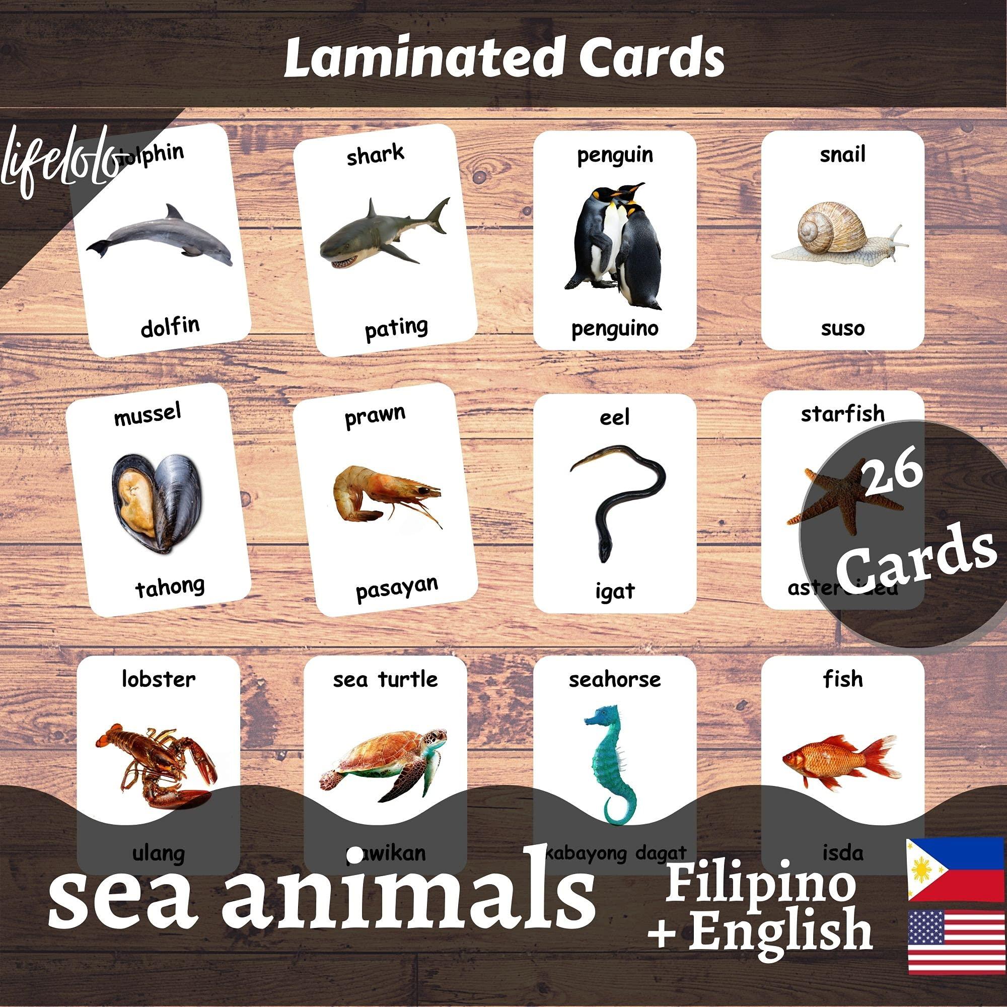 Generic Sea Animals Flash Cards - 26 Laminated Flashcards | Ocean Animals | Water Animals | Homeschool | Multilingual Flash Cards | Bilingual Flashcards - Choose Your Language (Filipino + English)