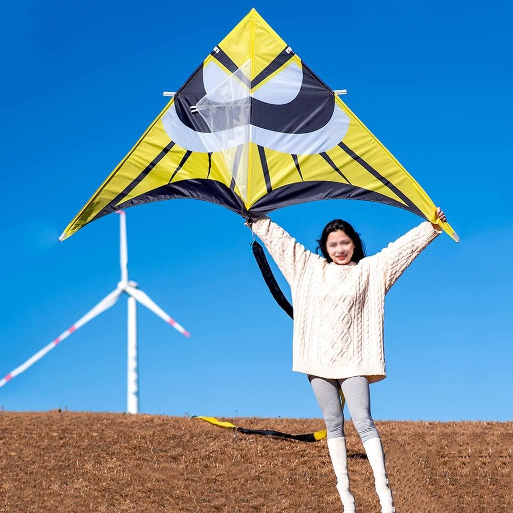 XLTTY Kites Giant Beach Kites for Adults, Easy to Fly Single-line Beach Kites, Easy to Assemble, Best Kite for Beginner (Size : 2.5m+500m line)
