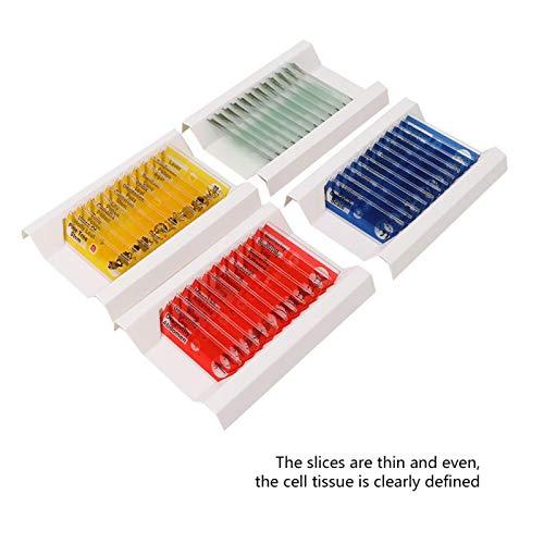 Oreilet Biological Prepared Slide, 4 Colors Professional 48pcs Specimens Slide, Microscope Slide, Gift for Kids School Including Animals, Insects Uniform