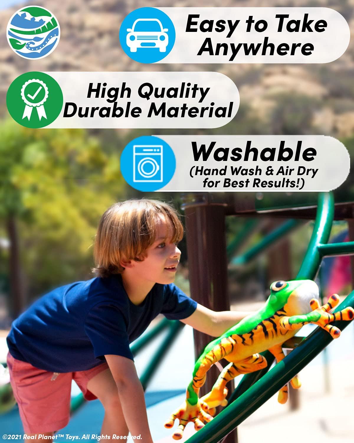 Oreilet Biological Prepared Slide, 4 Colors Professional 48pcs Specimens Slide, Microscope Slide, Gift for Kids School Including Animals, Insects Uniform