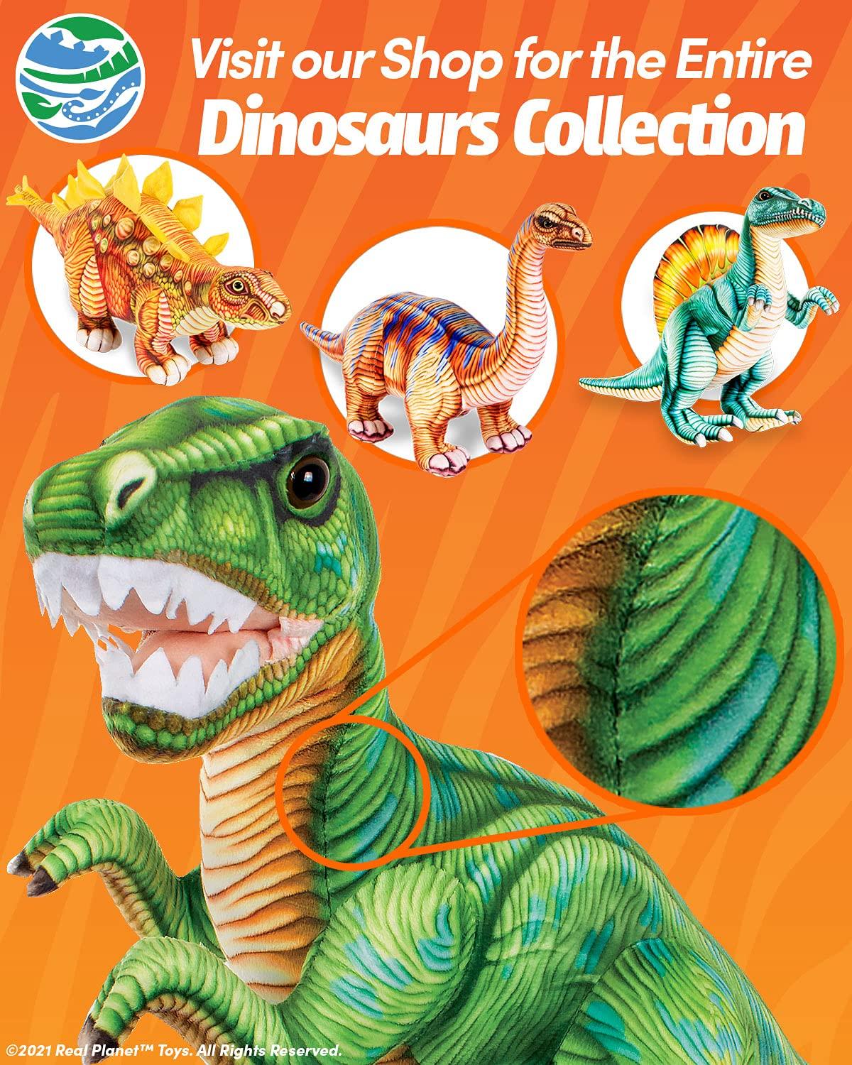 Oreilet Biological Prepared Slide, 4 Colors Professional 48pcs Specimens Slide, Microscope Slide, Gift for Kids School Including Animals, Insects Uniform