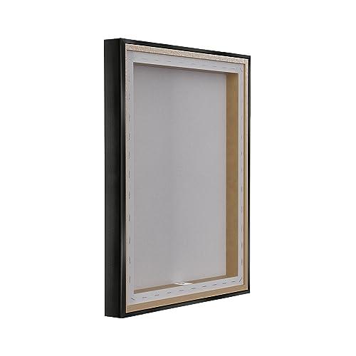 Stupell Industries Stupell Industries T-Rex in Nature Framed Floater Canvas Wall Art by Raquel Maciel