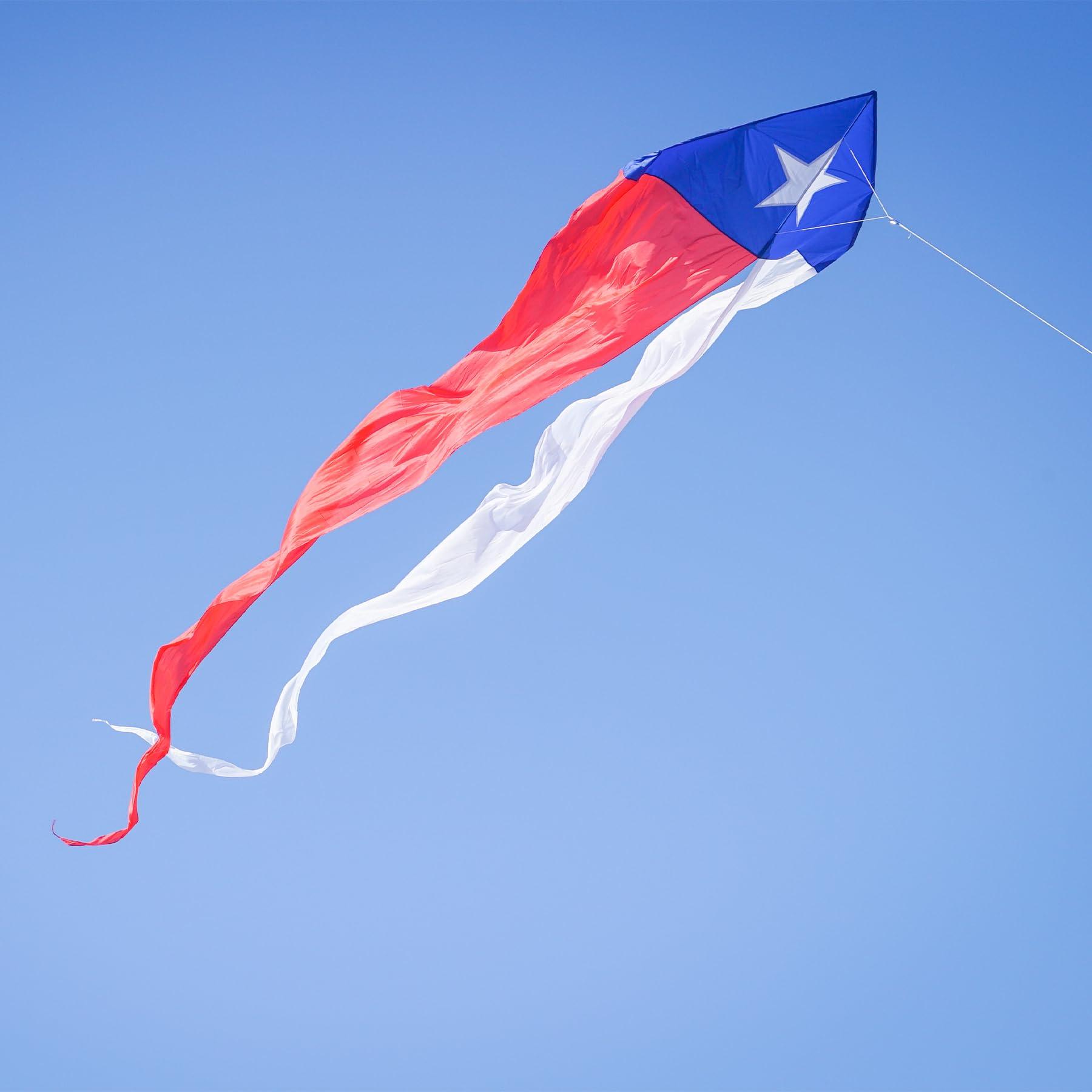 In the Breeze In the Breeze 3357 Texas 77\" Wave Delta Kite Easy Flying Single Line Large Ripstop and Taffeta Kite
