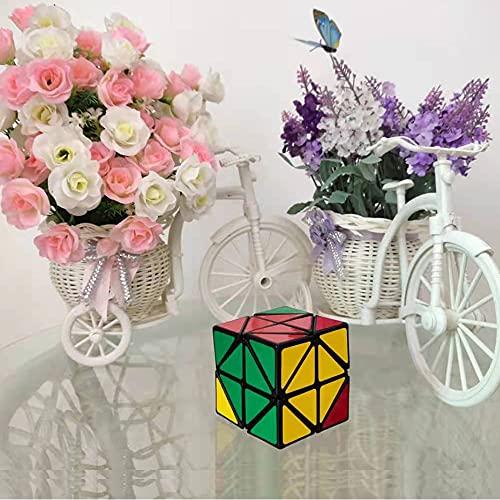 LimCube Fangshi limCube Skewb 2x2 Cube - Professional Twist Cube Puzzles, IQ Challenge Brainteaser Puzzle, Perfect for Boys/Boyfriend/Men/Collection