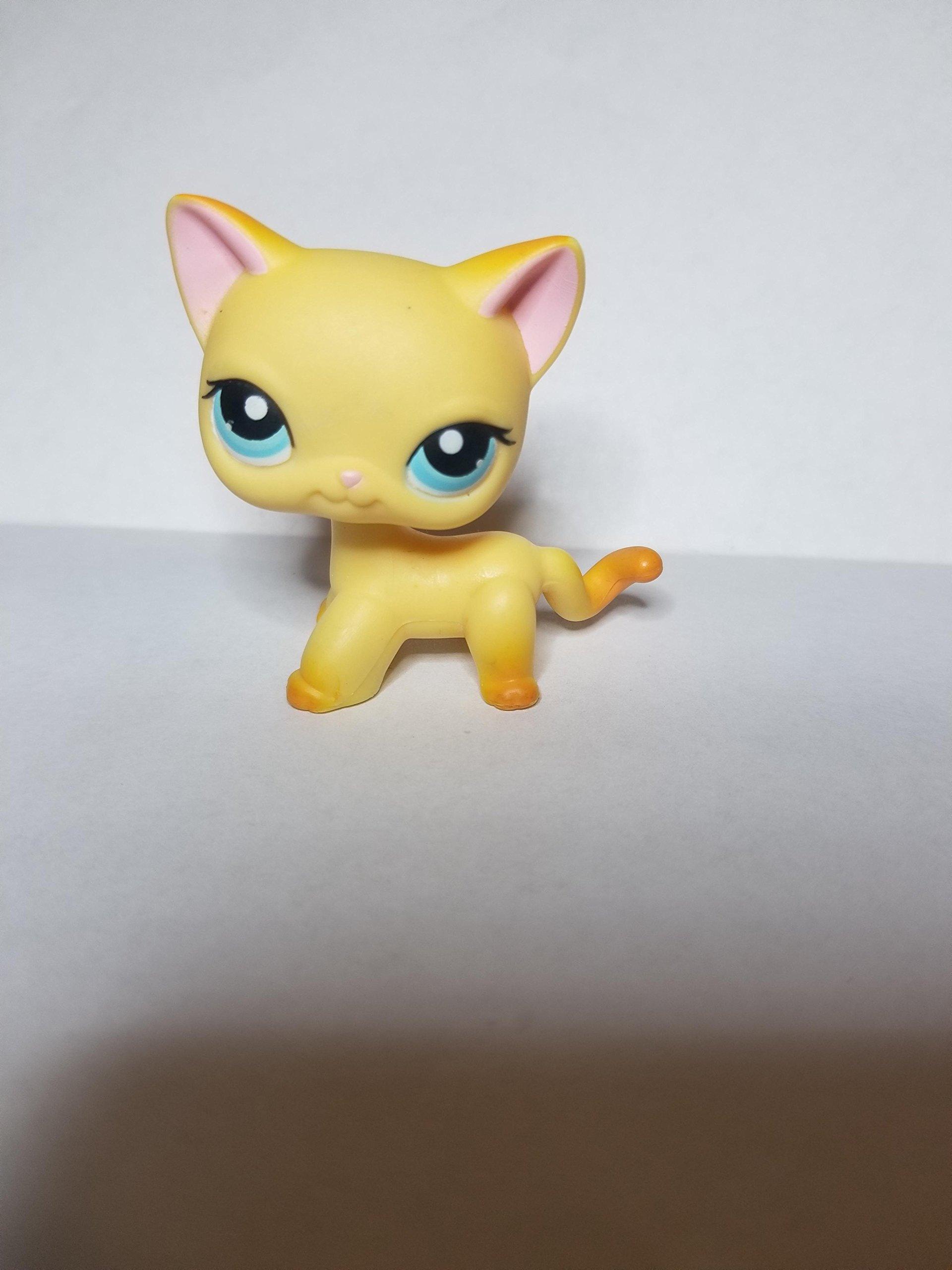 Shorthair Cat 339 Orange Blue Eyed Rust Tail Littlest Pet Shop Retired Collector Toy LPS Collectible Replacement Single Figure Loose OOP Out of Package Print