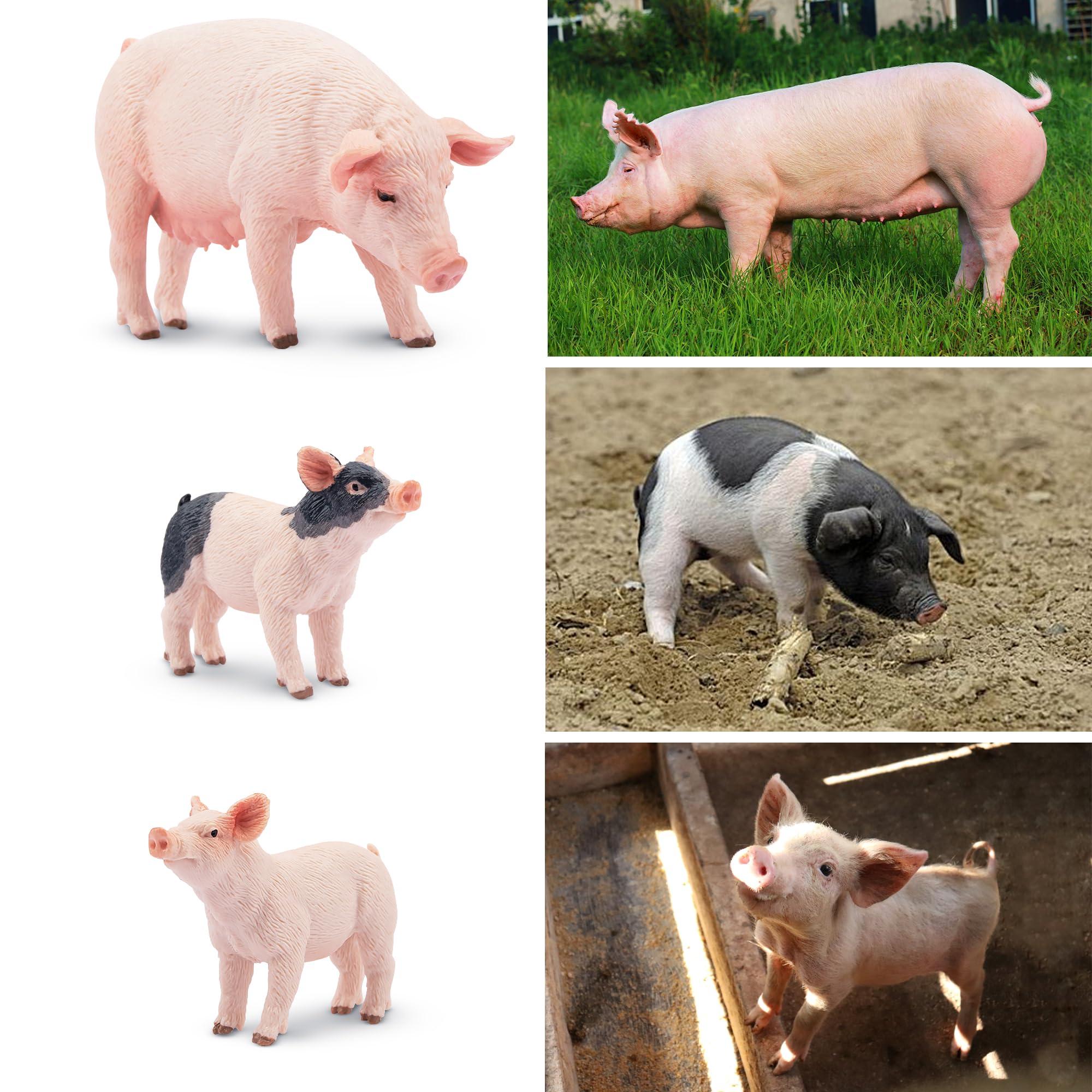 Toymany Toymany 28PCS Realistic Pig Figurines Set with Fence Toys, Plastic Farm Animals and Fencing Panel Accessories Playset, Birthday Christmas Toy Gift for Kids