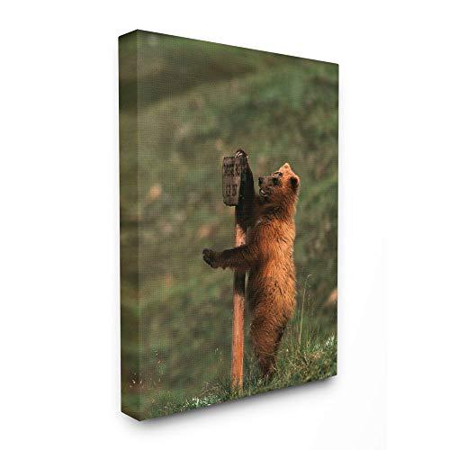 Stupell Industries Stupell Industries Grizzly Bear Cub Scratching Park Sign Canvas Wall Art, 36 x 48, Multi-Color