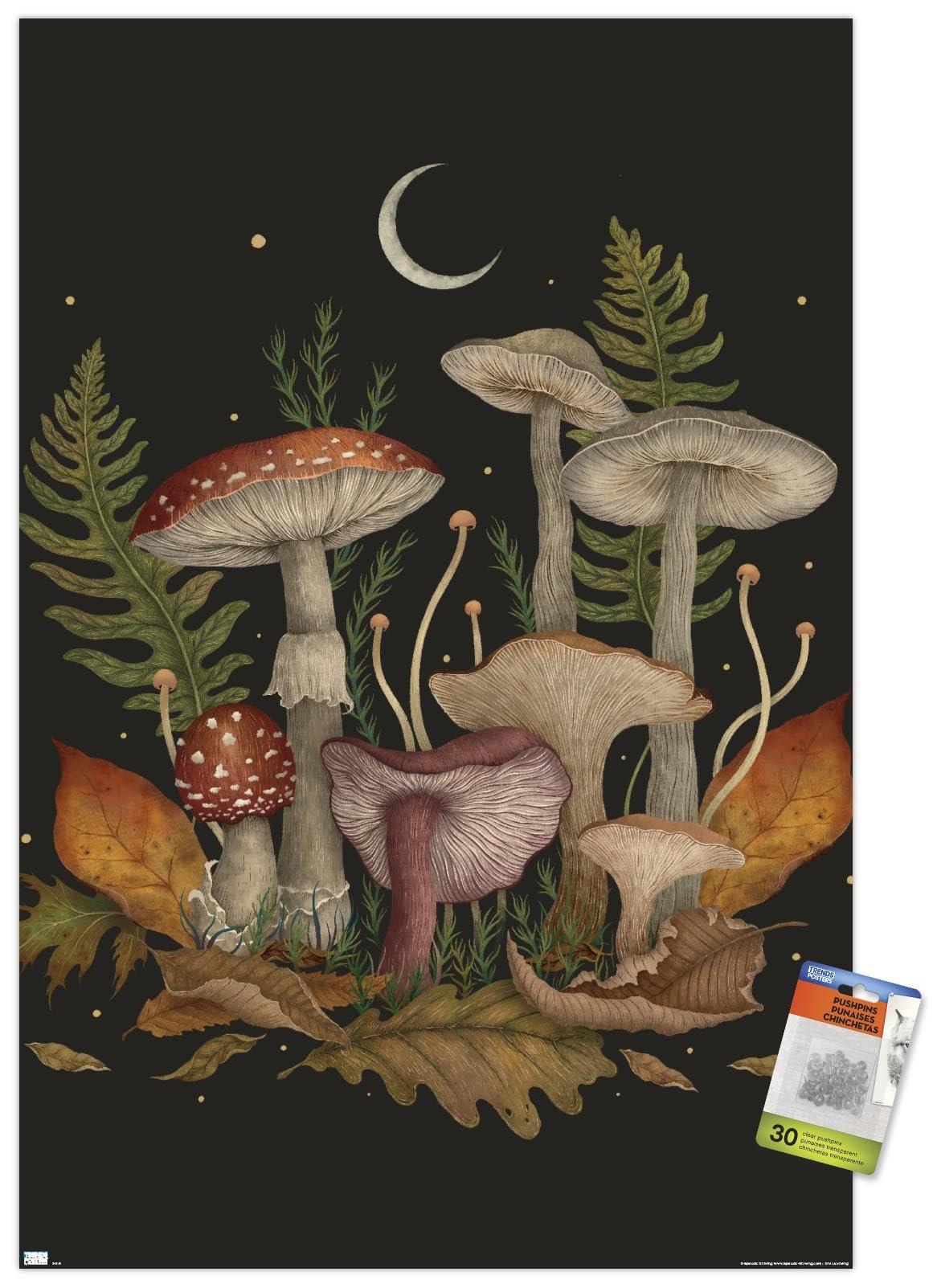 Trends International Trends International Episodic Drawing - Autumn Mushrooms Wall Poster, 22.37\" x 34.00\", Premium Poster & Push Pin Bundle