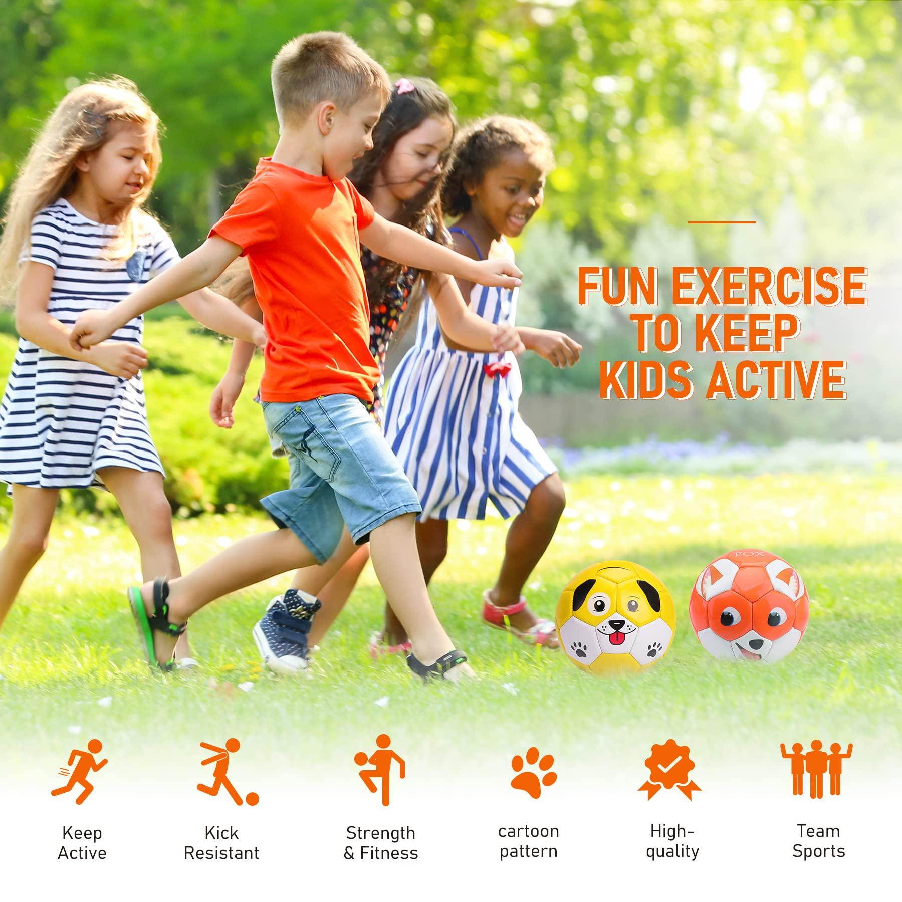 INPODAK INPODAK 2 Pack Toddler Soccer Ball Size 2 Cartoon Balls for Kids 2 3 4 5 6 with Pump, Mesh Bag and Gift Box for Birthdays, Christmas, and Parties