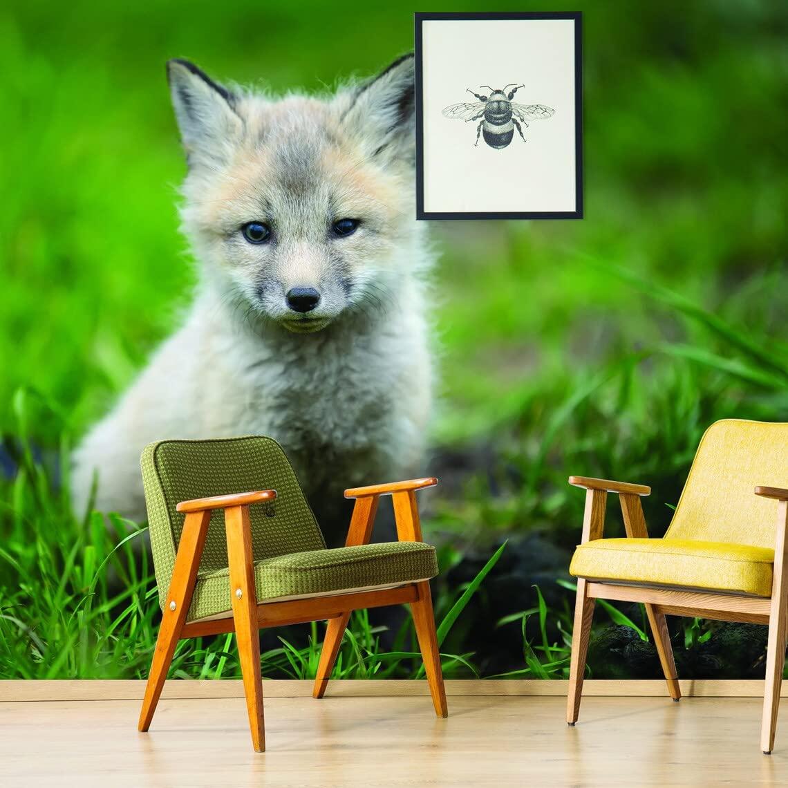 Decords Cute Little Fox Wallpaper Decor Decal - Baby Animal Wall Sticker for Home Nursery Kid Boy Room Bedroom - Peel Stick Removable Adhesive Art (179'' x 108'')