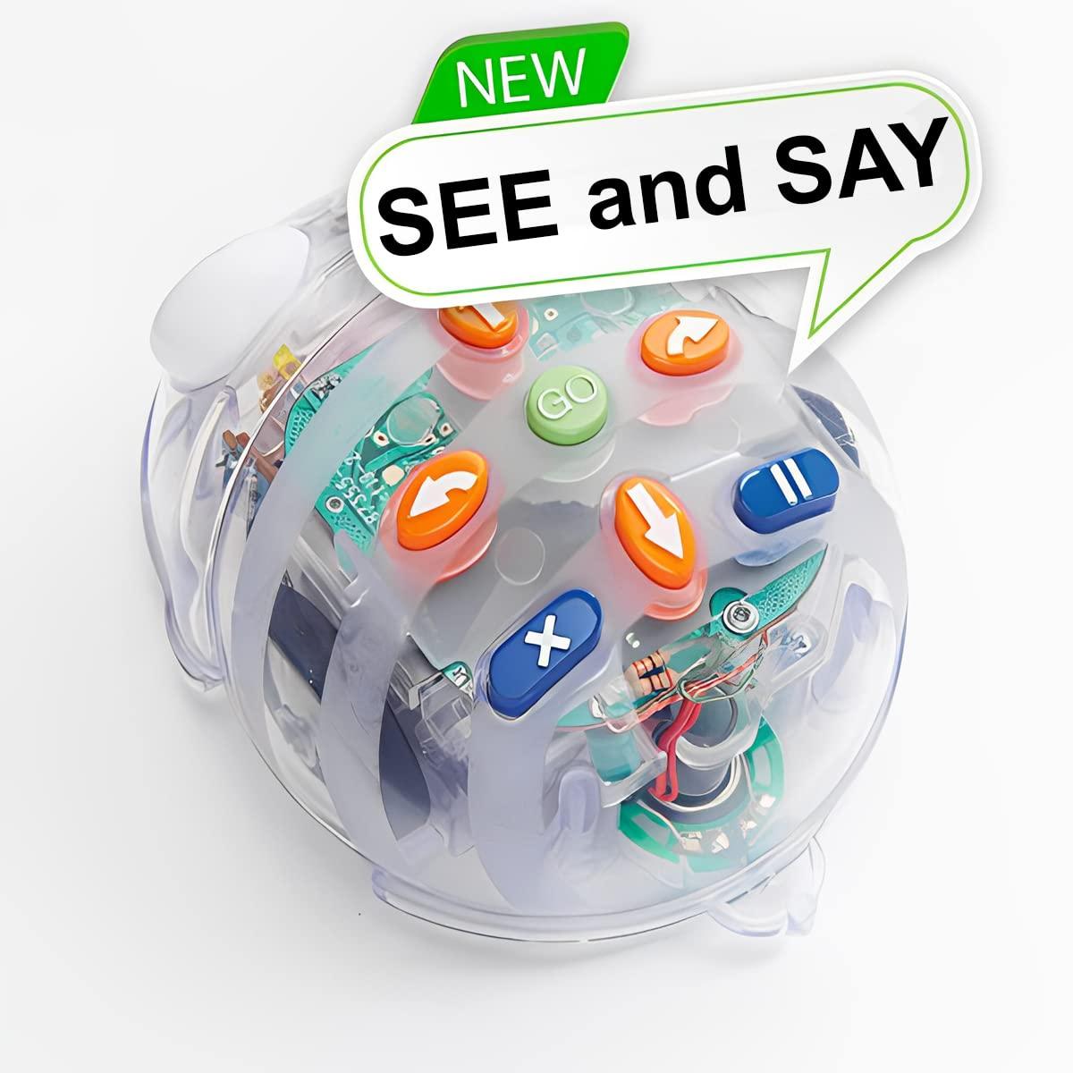 Generic TTS Bee-Bot and Blue-Bot Coding Robot See and Say Version Classroom Pack with Rechargeable Docking Station - STEM Educational Programmable Interactive Floor Robots