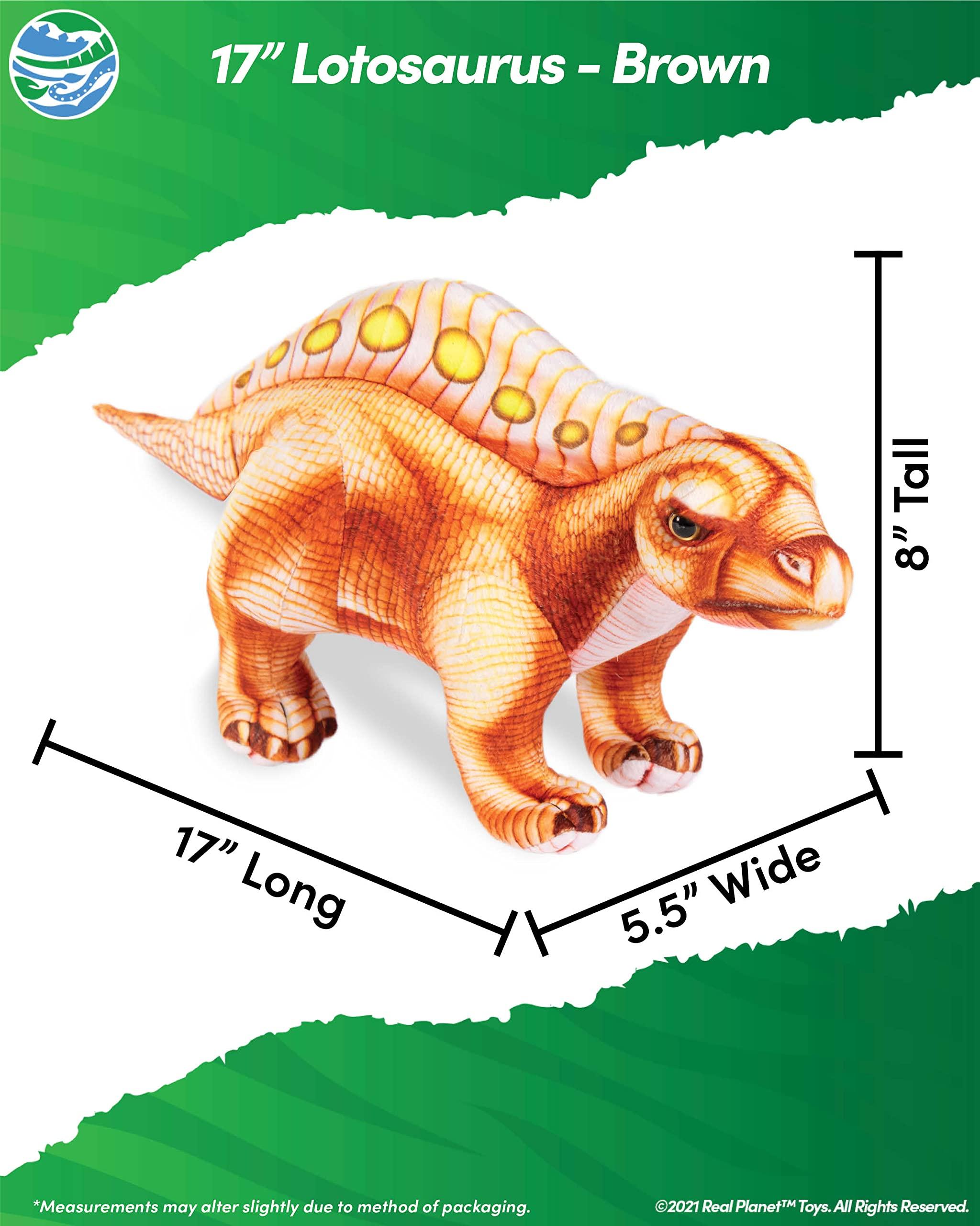 Oreilet Biological Prepared Slide, 4 Colors Professional 48pcs Specimens Slide, Microscope Slide, Gift for Kids School Including Animals, Insects Uniform