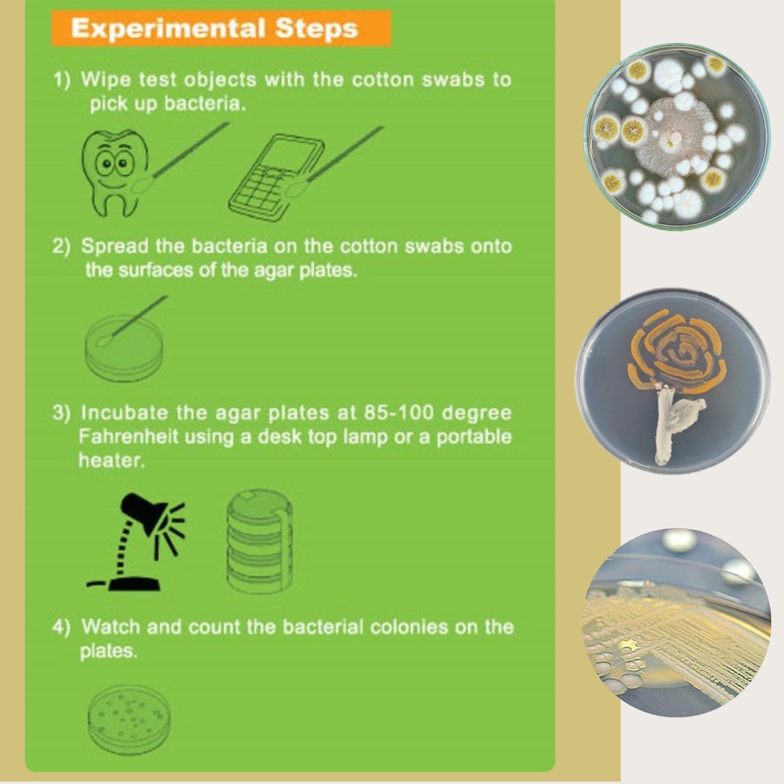 EZ BioResearch EZ BioResearch Bacteria Science Kit (IV): Top Science Fair Project Kit. Prepoured LB-Agar Plates And Cotton Swabs. Exclusive Free Science Fair Project E-Book Packed With Award Winning Experiments.