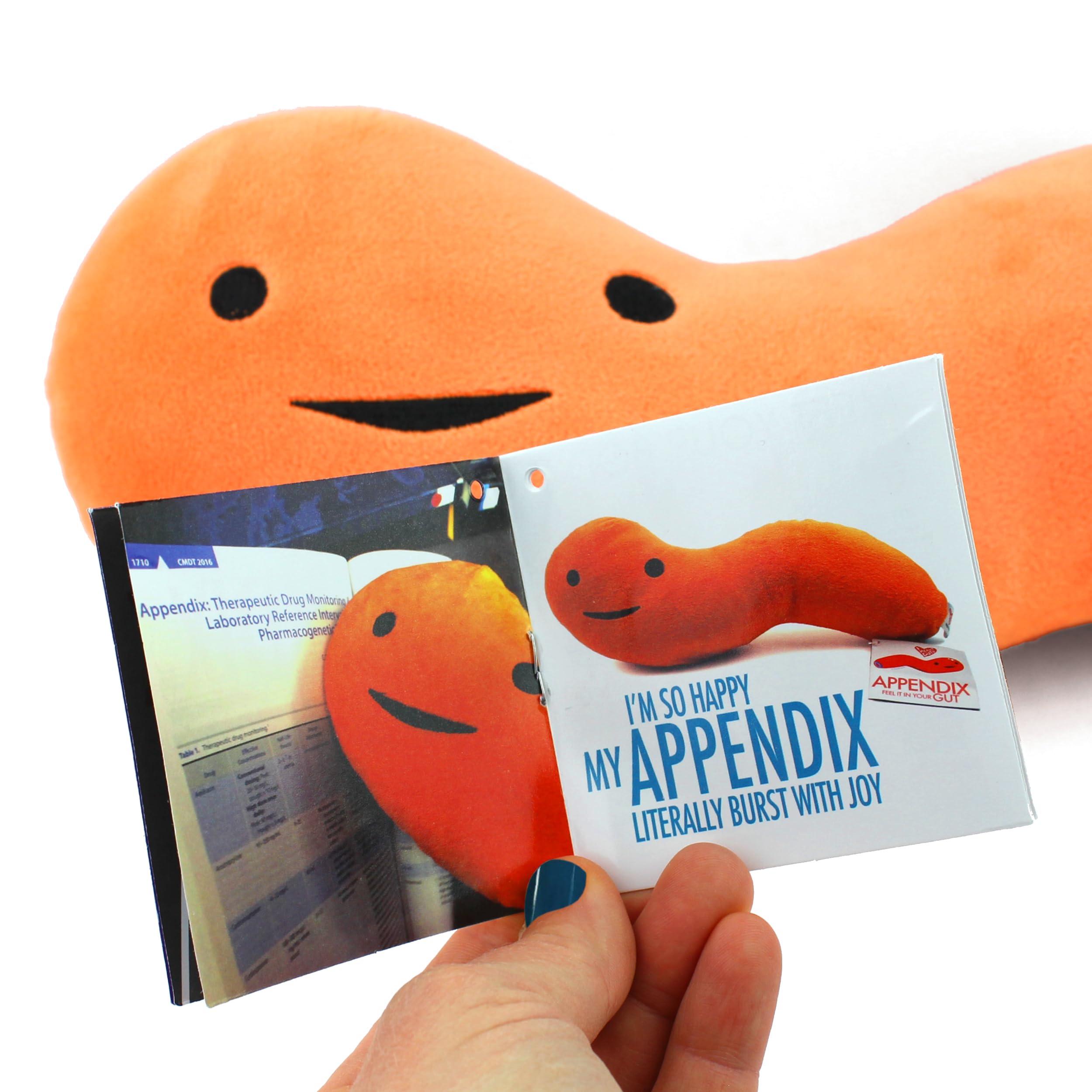 I Heart Guts I Heart Guts Appendix Plush - Feel It In Your Gut - 14\" Stuffed Organ Plush Toy, Appendix Removal Get Well Gifts, Ideal for Appendicitis, Kids, Nurses, Medical Students,Surgery