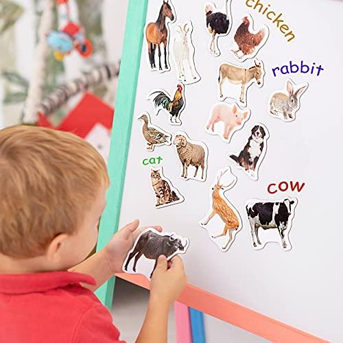 magdum 16 Fridge Magnets for Toddlers Magdum - Farm Photo Kids Magnets for Fridge - Toddler Magnets for Refrigerator - Magnetic Animals - Fridge Magnets for Kids - Animal Magnets - Toddler Fridge Magnets