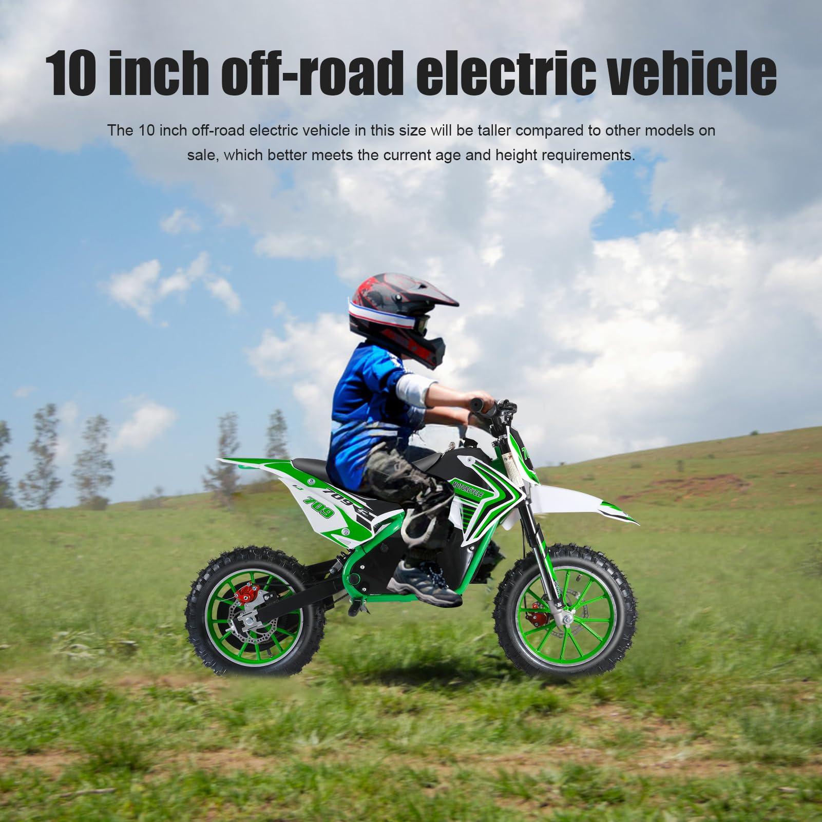 pofluany Kids Electric Dirt Bike - 2024 Upgraded Motorcycle [Max 18MPH], 350W Powerful Motor, Strong Frame for Summer Fun (Green)