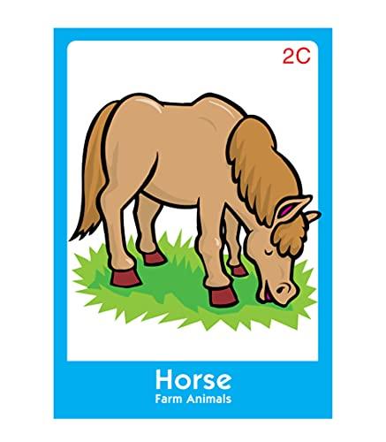 Super Duper Publications Super Duper Publications | Classifying Fun Deck Flash Cards | Educational Learning Resource for Children