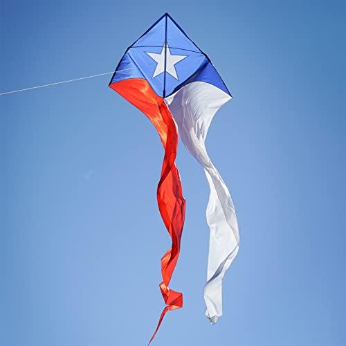 In the Breeze In the Breeze 3357 Texas 77\" Wave Delta Kite Easy Flying Single Line Large Ripstop and Taffeta Kite