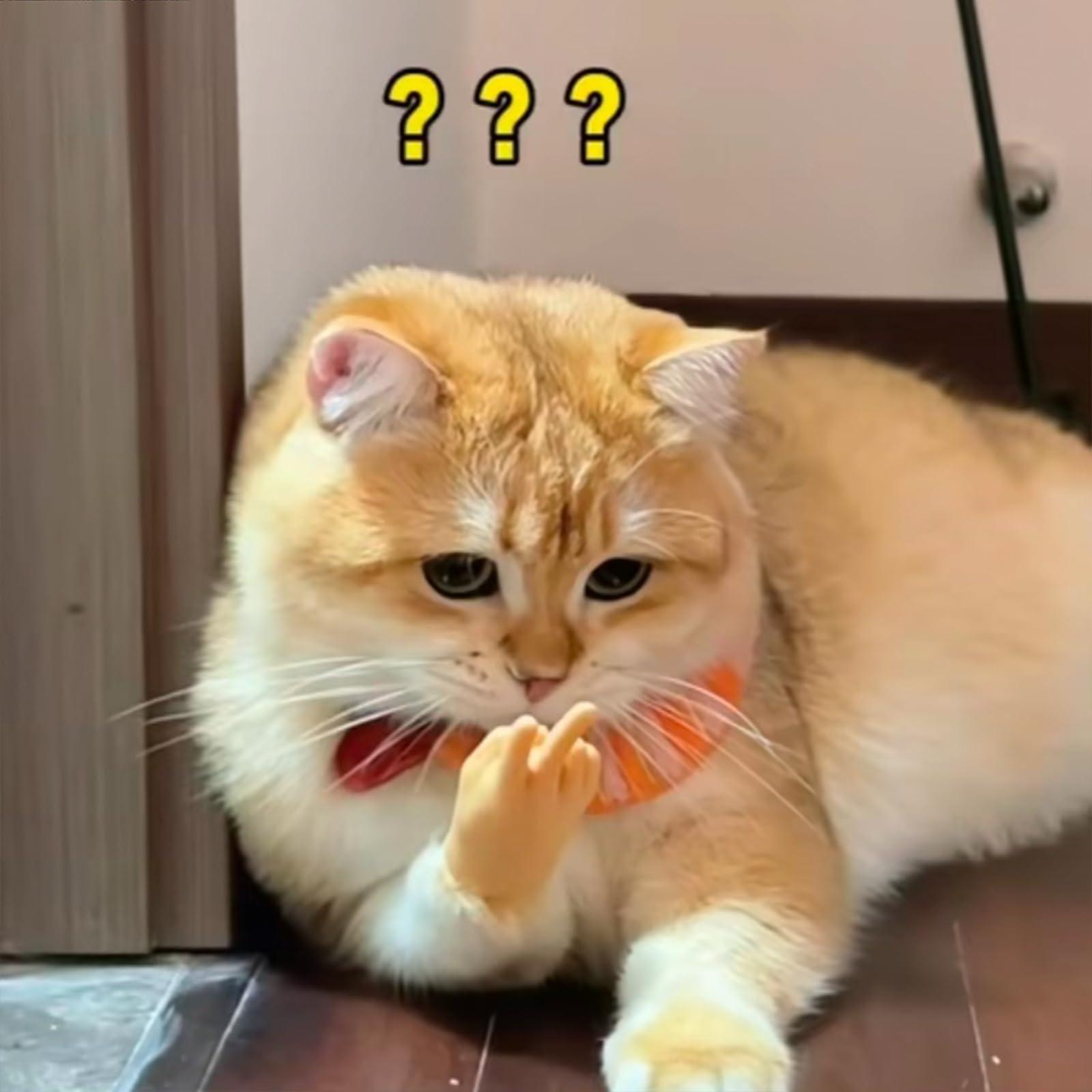 fizweyo Rubber Hands for Cats, Plastic Hands for Cats, Hands for Cats, Mini Hands for Cats, Tiny Hands for Cats, Tiny Hands for Fingers, Little Hands for Cats, Mini Human Hands for Cats,Small Hands (Mix*12)